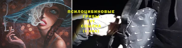 скорость Медвежьегорск