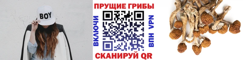 blacksprut онион  цена наркотик  Рассказово  Галлюциногенные грибы мухоморы 