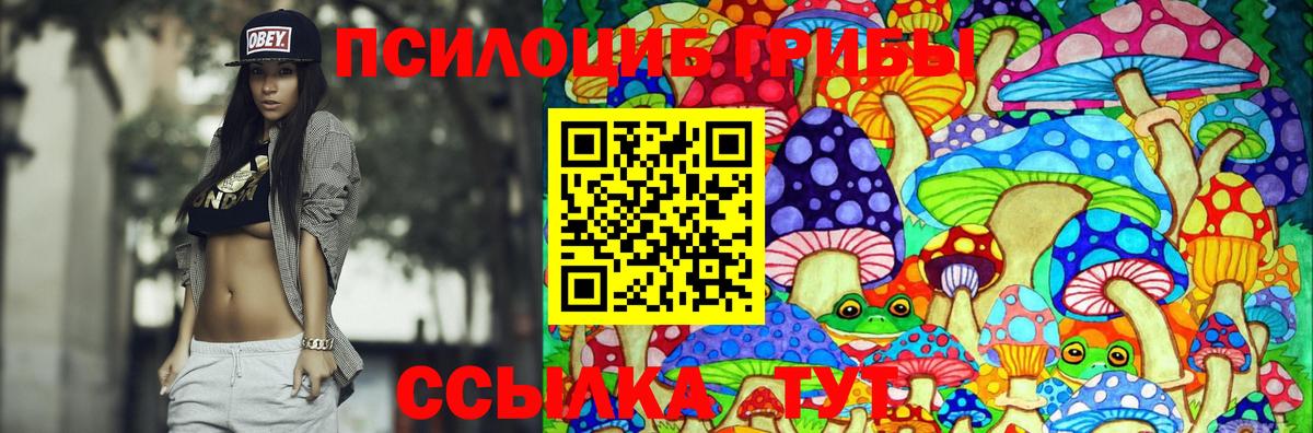 Рассказово  Псилоцибиновые грибы Magic Shrooms  Вход с VPN  Псилоцибиновые грибы ЛСД 